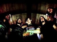 Carnifex