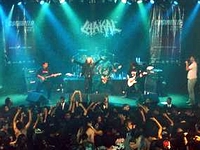 Chakal