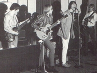 Chocolate Watchband