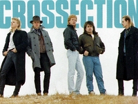 Crossection