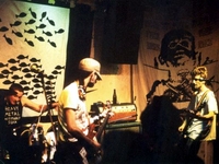 Electro Hippies