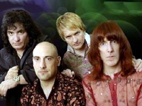 Lizards