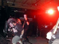 Necrophagia