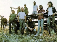 Ozark Mountain Daredevils