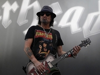 Phil Campbell