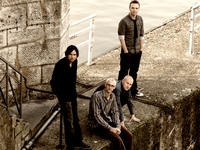 Pineapple Thief