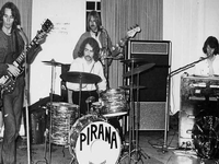 Pirana