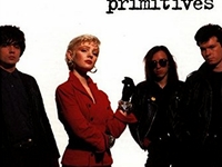 Primitives