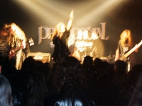 Primordial