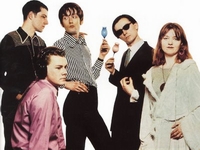 Pulp