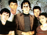 Pulp