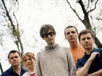Pulp