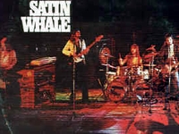 Satin Whale