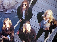 Shark Island