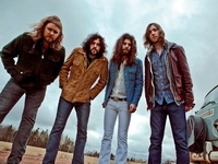 Sheepdogs
