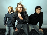 Spiderbait