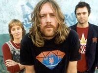 Spiderbait