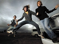 Spiderbait