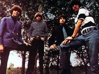 Standells
