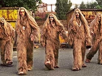 Super Furry Animals