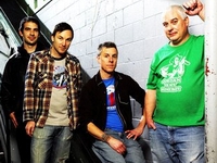 Toadies