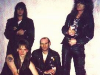 X-Wild
