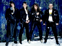 X-Wild