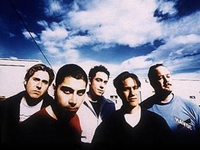Zebrahead