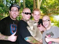 Acacia Strain