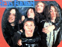 Acid Reign