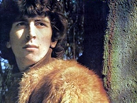 Al Stewart