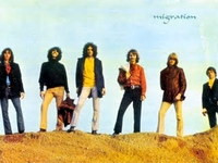Amboy Dukes