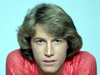 Andy Gibb