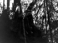 Arckanum