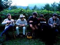 The Band
