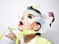 Bjork