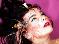 Bjork