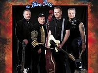 Blue Cat