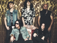 Bobaflex