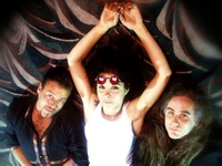 Concrete Blonde