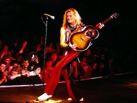 David Lee Roth