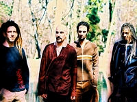 Deadsoul Tribe