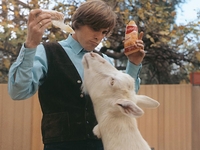 Dennis Wilson