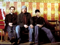 Doves