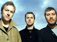 Doves