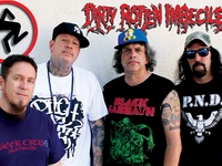 D.R.I.