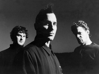 Echobrain