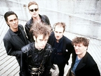 Einsturzende Neubauten
