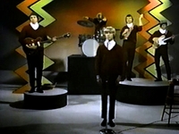 Electric Prunes