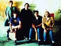 Gin Blossoms